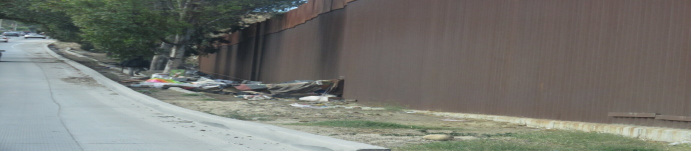 Figure 15: Homelessness in Tijuana