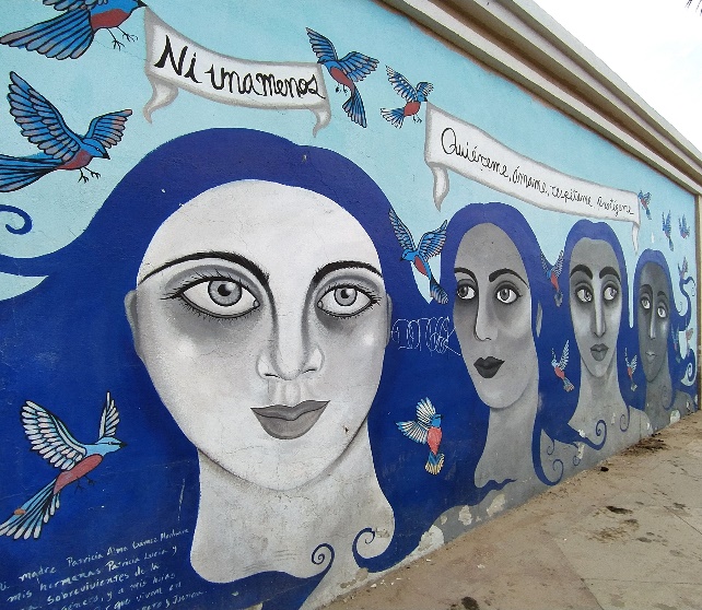 Figure 6: Mural in Columbus Avenue, Mexicali